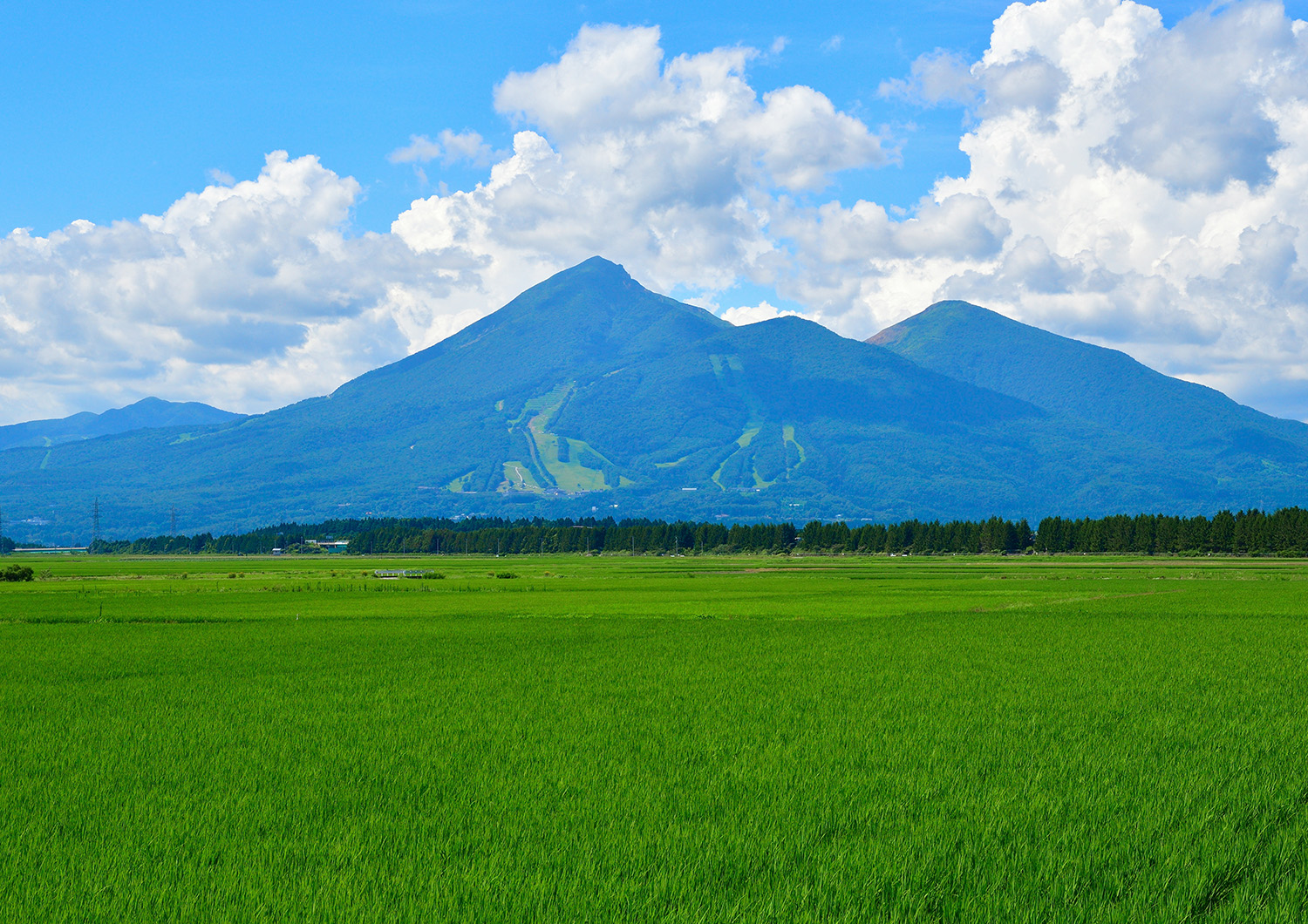 福島の自然